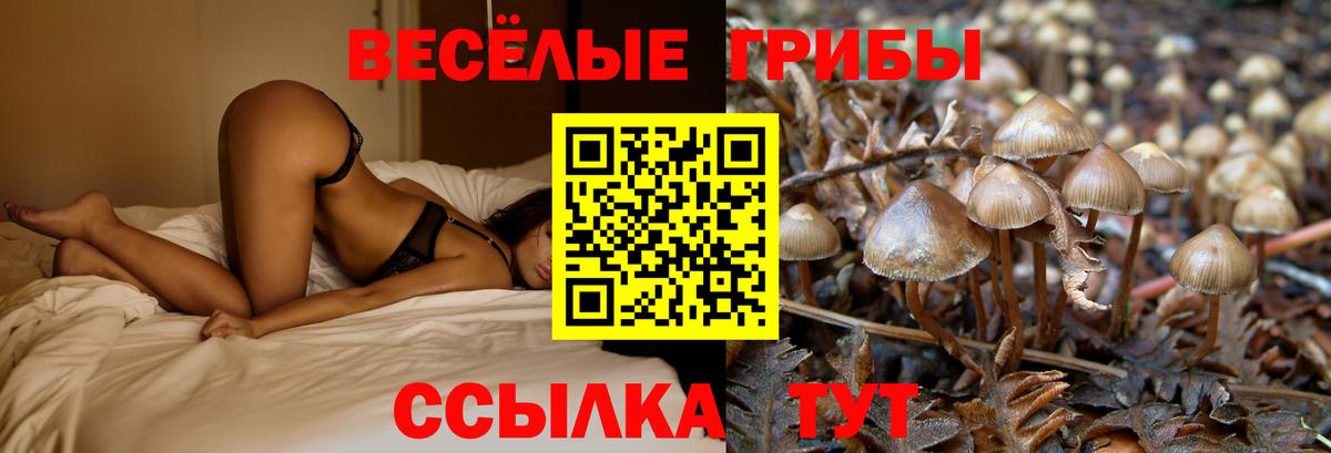 Галлюциногенные грибы мицелий Феодосия